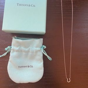 Tiffany & Co. Mini Diamond Horseshoe Necklace 18K White Gold 16inch